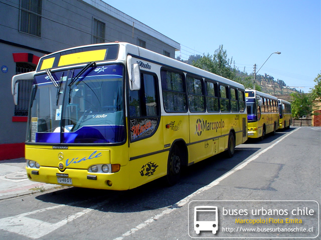 417 Marcopolo Viale