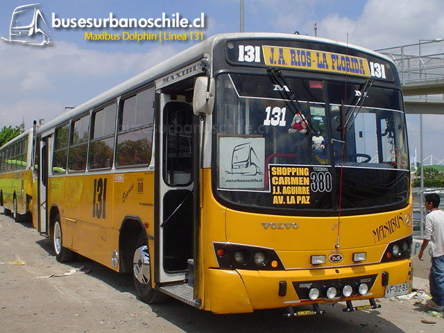131 Maxibus Dolphin "Andicito"