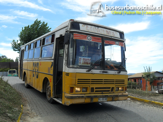 Rural Cauquenes | Ciferal Padron Rio 'Carnaval' - M. Benz OF-1115