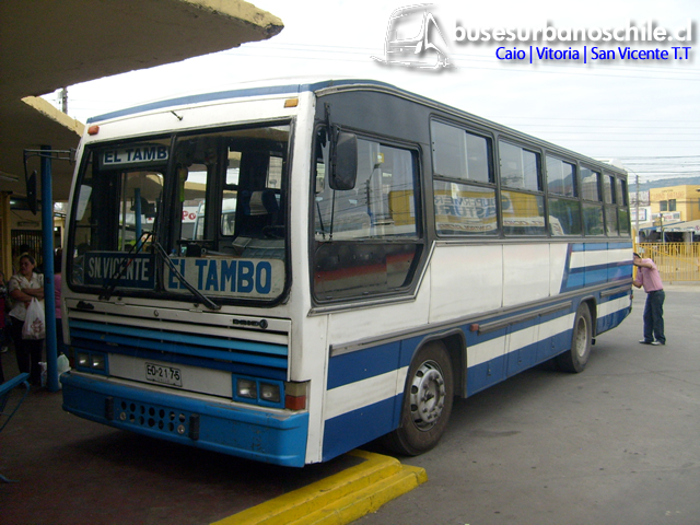 Rural San Vicente de T.T. | CAIO Vitoria - M. Benz OF-1115