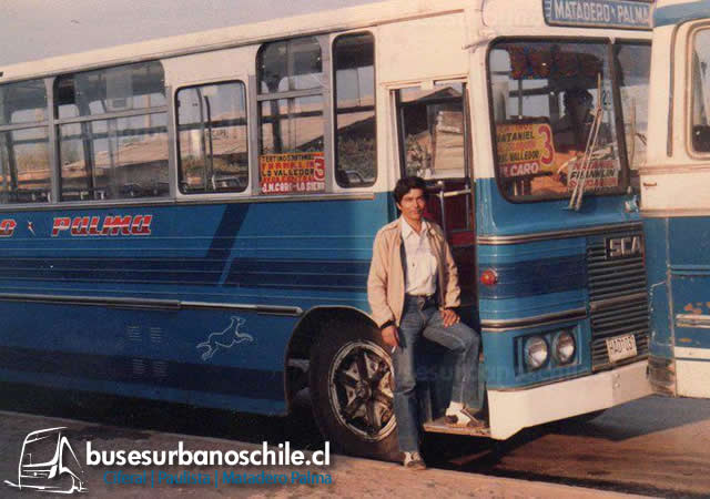 Matadero Palma Ciferal Tocantins