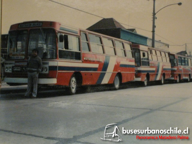 Matadero Palma | CAIO Gabriela I & Cuatro Ases - M. Benz LPO-1113