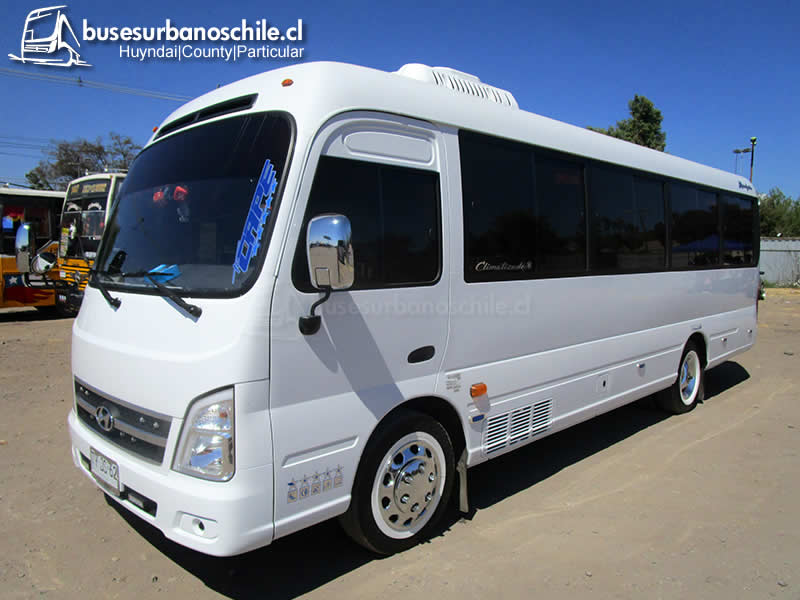 Particular | Huyndai County Microbus 2024