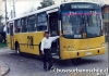 714 Maxibus Dolphin